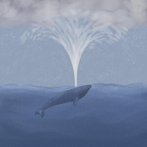 &quot;Whale Storm&quot;